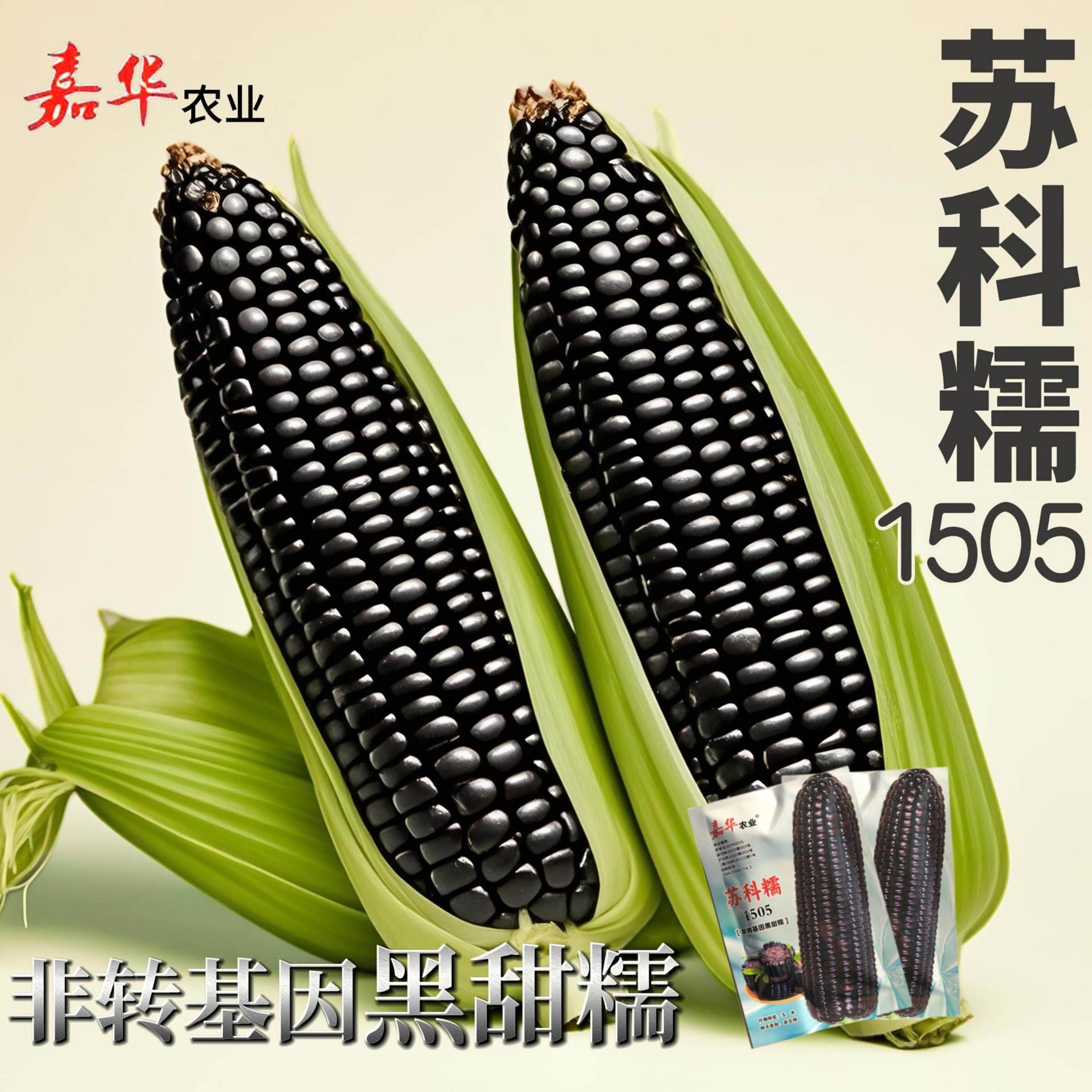 苏科糯1505黑糯玉米种子