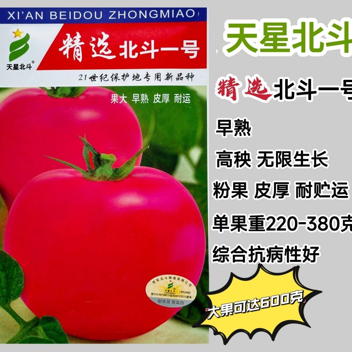 西安北斗种苗一号西红柿