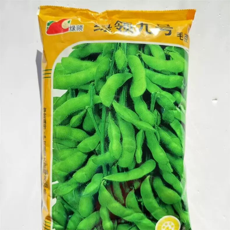 绿领九号毛豆种子早熟高产抗病耐热耐寒大田基地春夏播种蔬菜种子