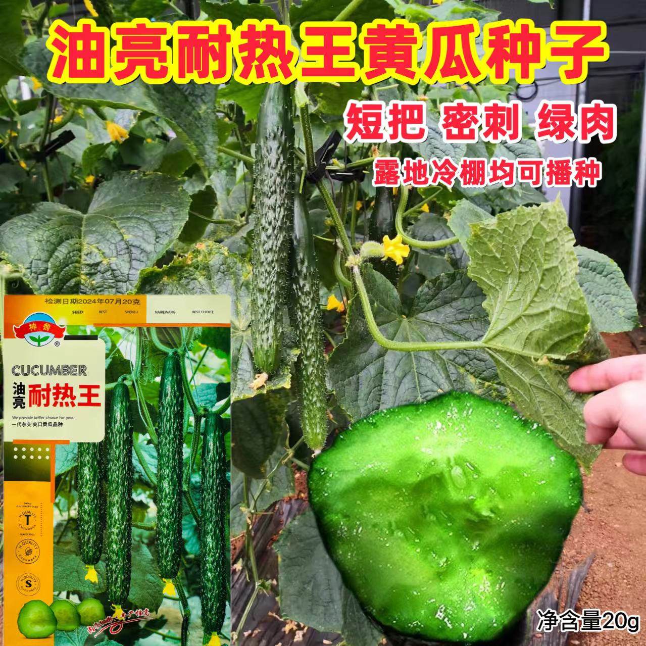 油亮耐热王黄瓜种子短把瓜码密绿肉黄瓜种籽抗病强夏季栽培蔬菜孑,鲜花速递/花卉仿真/绿植园艺,家庭园艺种子,淘宝优惠券,粉丝福利购,淘宝优惠卷