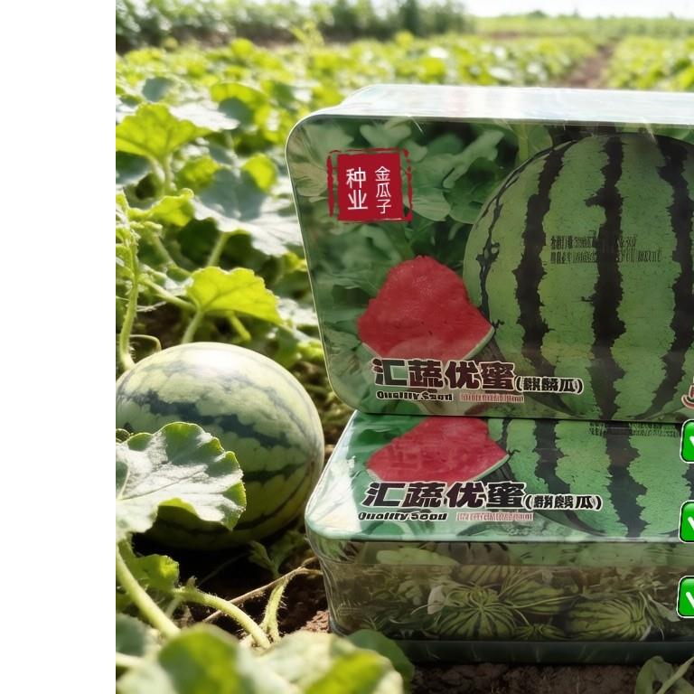 汇蔬优蜜麒麟西瓜种子超甜特大早熟高产耐裂果冰糖麒麟西瓜种籽子