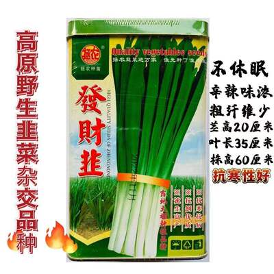 发财韭耐寒韭菜种子不休眠宽叶直立抗倒白根韭菜种籽子叶色浓绿