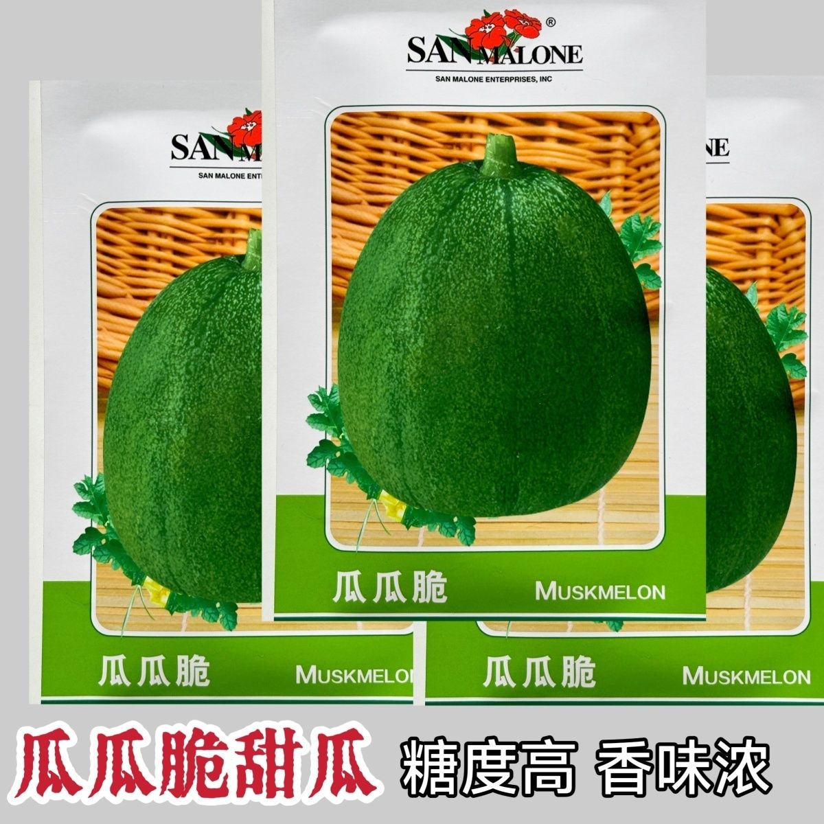 瓜瓜脆甜瓜种子高端圆形