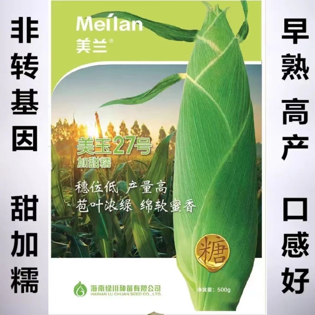 美兰美玉加甜糯27号玉米
