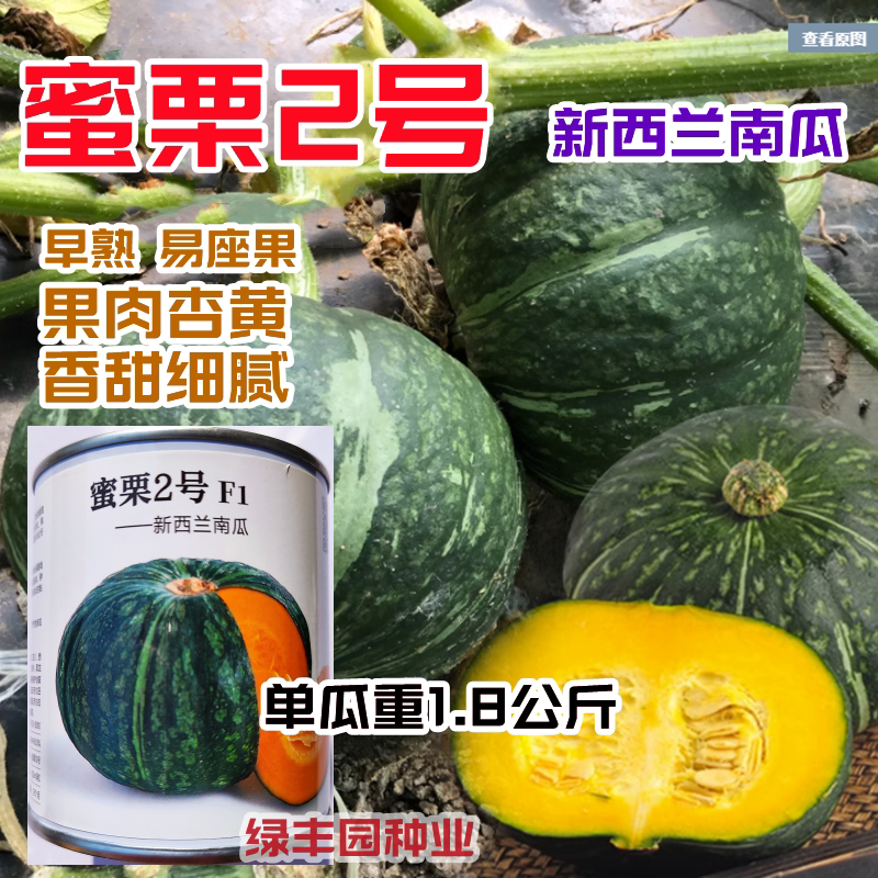 早熟蜜栗南瓜高产香甜粉糯可口