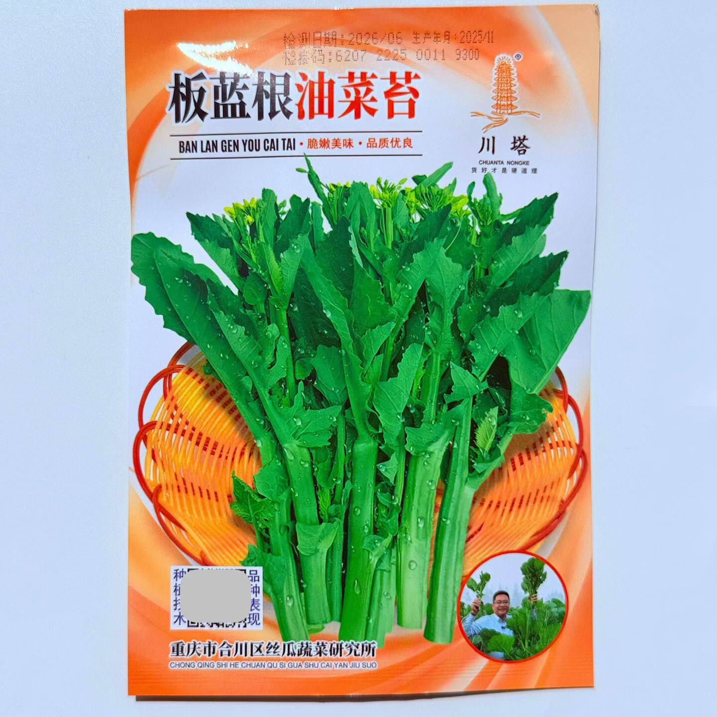 板蓝根油菜苔种子杂交高产抗病油菜苔种籽农家春秋播蔬菜种籽孑