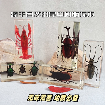 真特大号昆虫琥珀标本桌面摆件