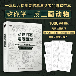 动物百态速写图谱 速写书速写临摹范本动物速写描摹本新手自学教程书籍素描线描动物插画速写临摹图集线稿临摹画册美术技法训练