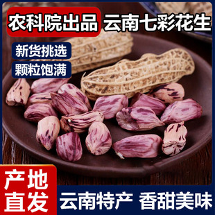 云南七彩花生旗舰店云南特产咸干带壳新货香甜原味新鲜熟水果花生