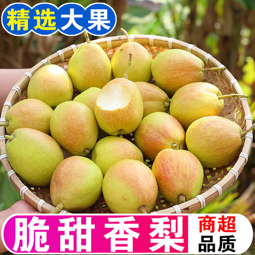 正宗红香酥梨现摘香梨新鲜水果薄皮脆甜多汁梨子整箱批发孕妇包邮
