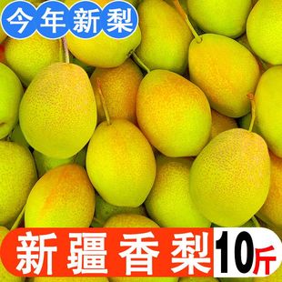 紅香酥梨水果新鮮當季 脆甜多汁梨子5斤整箱 包郵 新疆香梨10斤應季