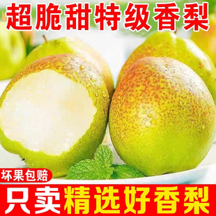 正宗红香酥梨特级香梨新鲜水果薄皮脆甜多汁梨子整箱批发孕妇包邮