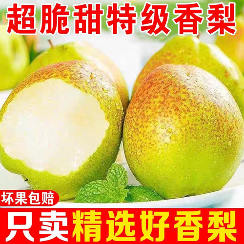 正宗红香酥梨特级香梨新鲜水果薄皮脆甜多汁梨子整箱批发孕妇包邮