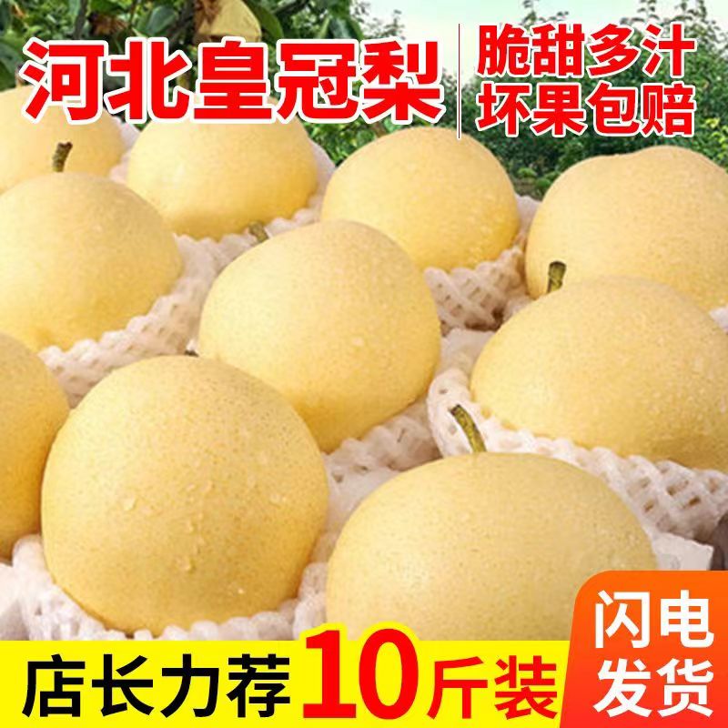 河北皇冠梨10斤新鲜水果正宗脆甜梨子应当季现摘鸭梨雪梨整箱包邮