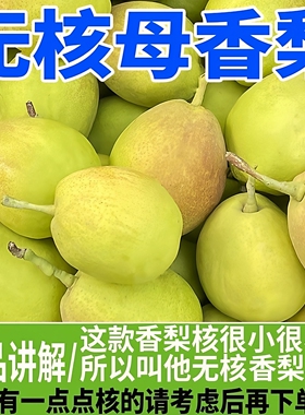 红香酥梨新鲜水果现摘香梨5/10斤装应季梨子整箱包邮脆甜多汁香梨