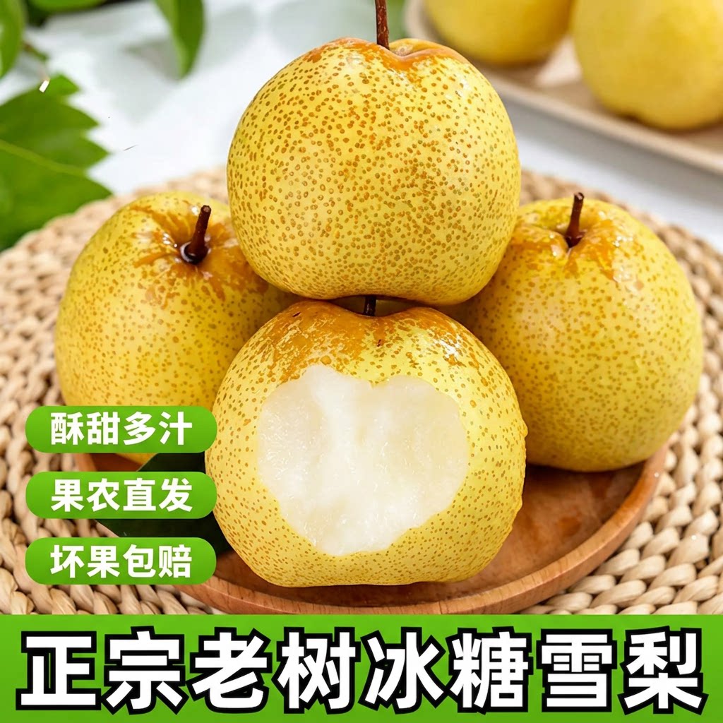河北雪梨水果新鲜现摘正宗雪花梨河北赵县整箱梨子大果当季包邮