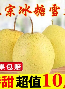 【冰糖雪梨】正宗河北雪花梨3/5/10斤包邮当季新鲜水果梨子脆甜多