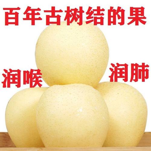 河北皇冠梨正宗新鲜水果梨子应季一整箱包邮薄皮润肺脆甜多汁雪梨