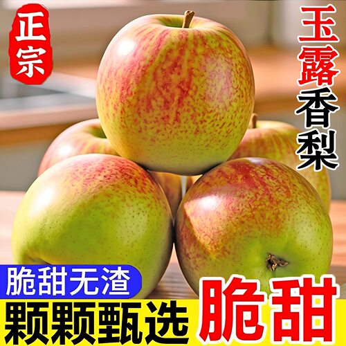 正宗山西玉露香梨10斤装包邮