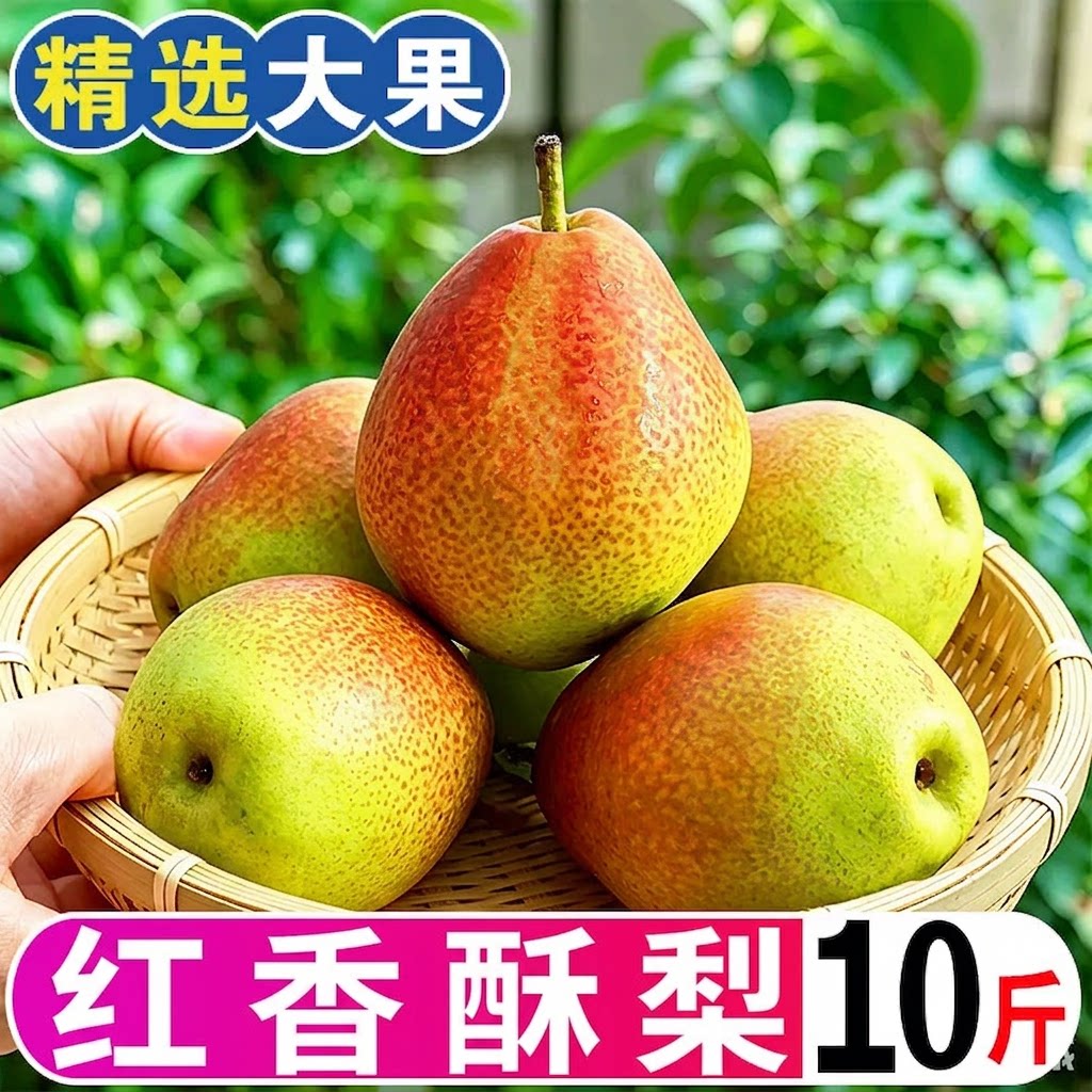 【新果】正宗红香酥梨新鲜当季薄皮水果脆甜七号香梨雪梨整箱包邮