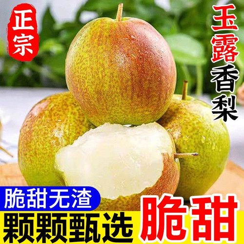 正宗山西玉露香梨10斤装包邮