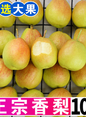 红香酥梨10斤新鲜水果酥梨应季香梨整箱5斤脆甜多汁皮薄梨子包邮