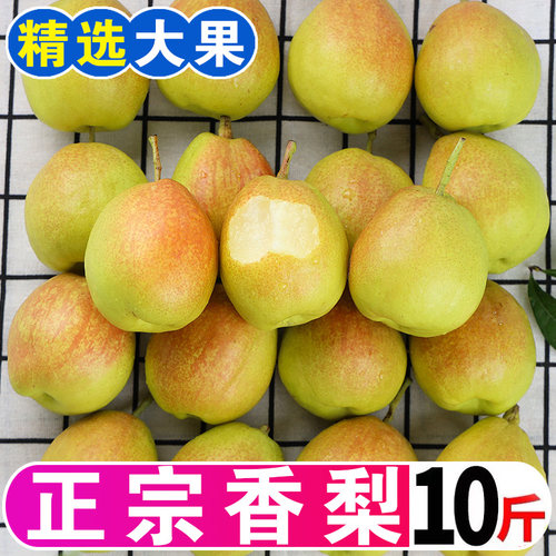 红香酥梨10斤新鲜水果酥梨应季香梨整箱5斤脆甜多汁皮薄梨子包邮
