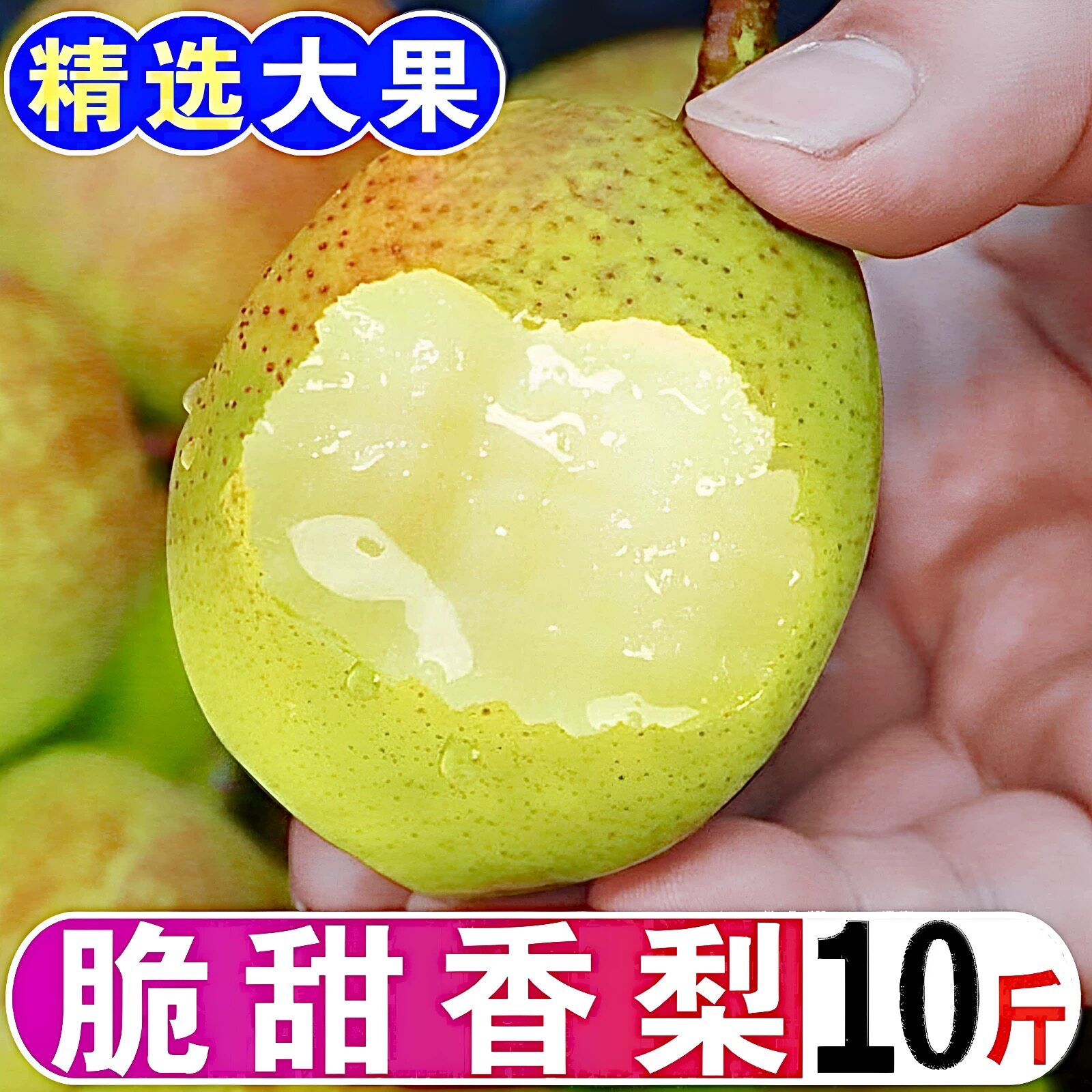 正宗红香酥梨新鲜水果梨子当应季时令整箱皇脆甜雪梨翠冠特级大梨