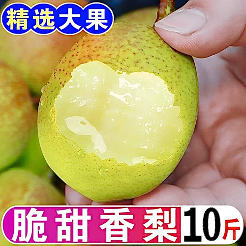 正宗红香酥梨新鲜水果梨子当应季时令整箱薄皮香脆甜雪梨翠冠大梨