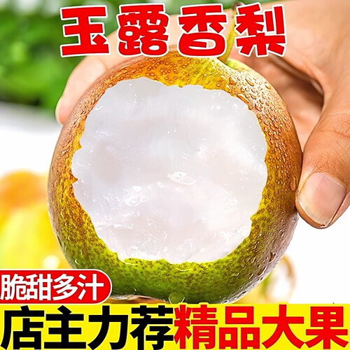 山西正宗玉露香梨子脆甜多汁孕妇水果新鲜礼盒装酥梨香梨整箱包邮