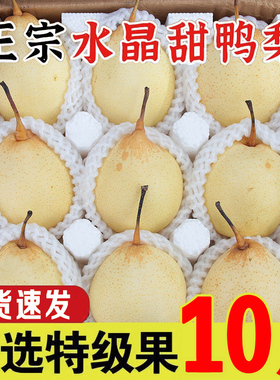 正宗河北鸭梨10斤新鲜梨子应当季现摘脆甜水晶梨雪梨鸭梨大果包邮