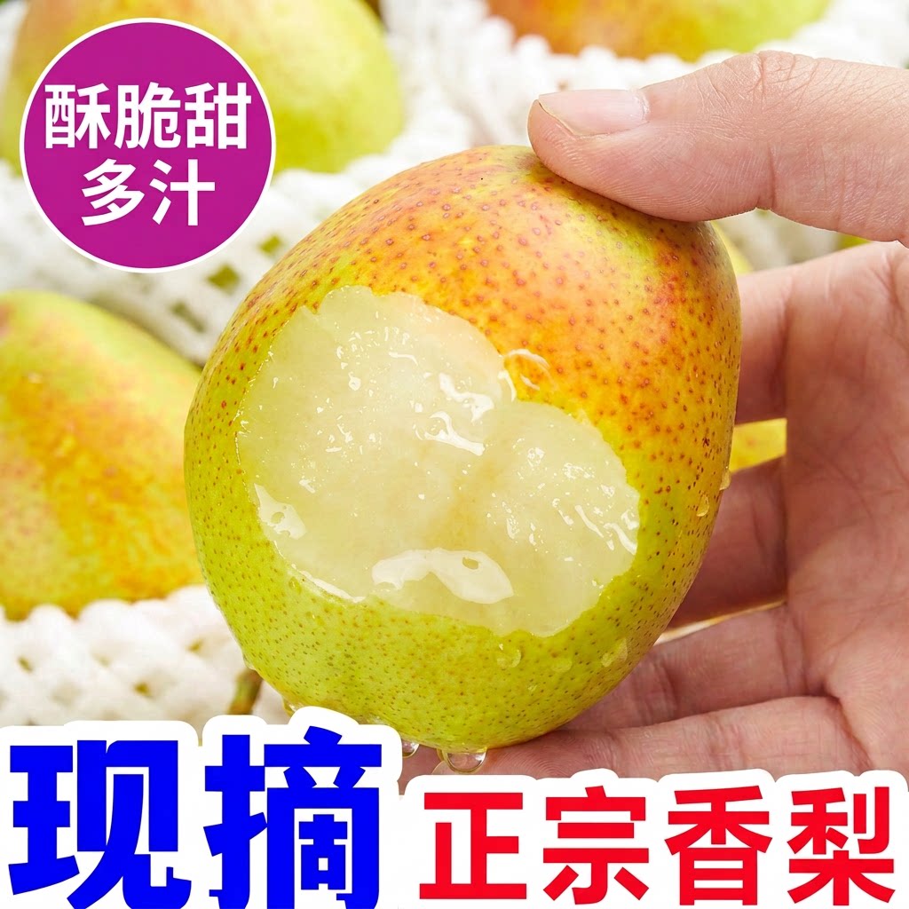 正宗香梨新鲜当季水果脆甜红香酥梨新疆梨子玉露香梨大果整箱包邮