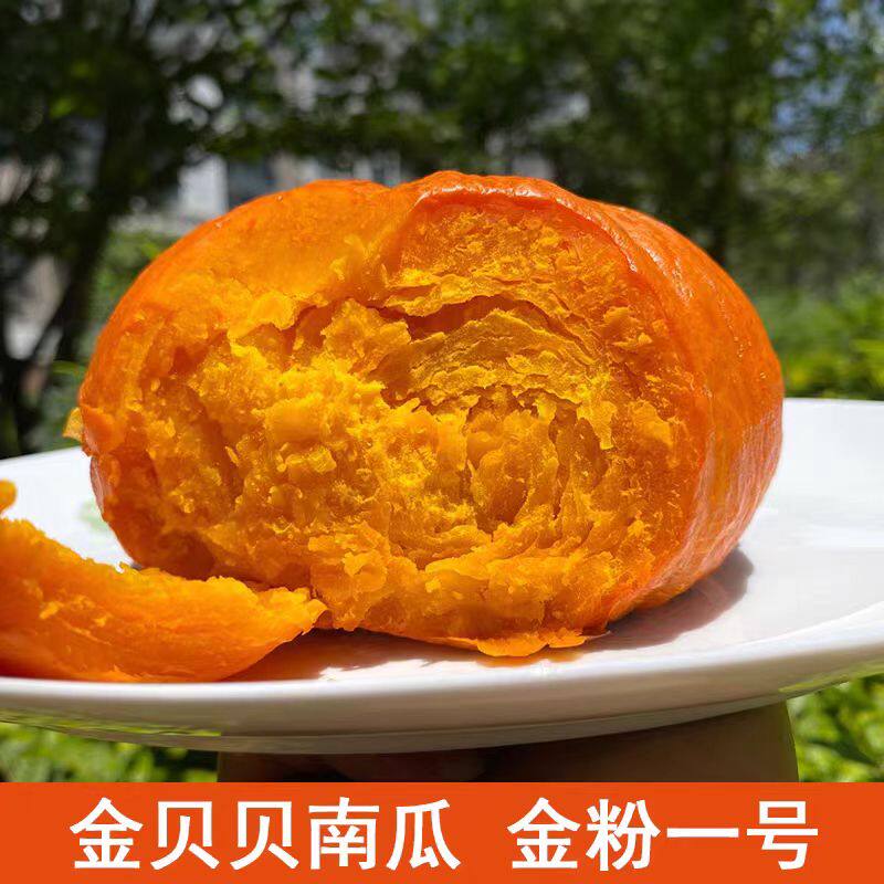 金贝贝南瓜4.5斤装板栗味香甜粉糯红色南瓜应季蔬菜
