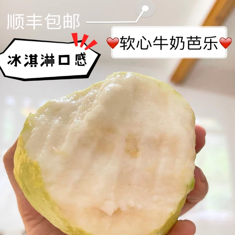 软心番石榴白心芭乐顺丰包邮