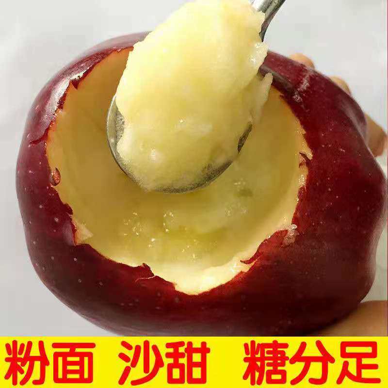 现摘甘肃苹果4.5斤整箱当季小苹果