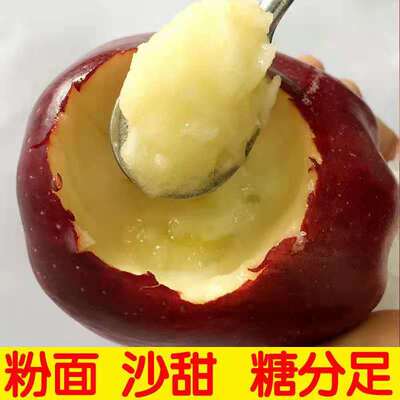 现摘甘肃花牛苹果4.5斤整箱当季小孩老人沙甜粉面苹果新鲜水果