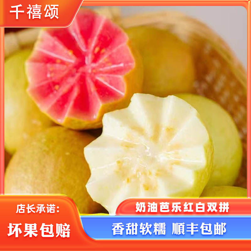 千禧颂红心草莓芭乐顺丰包邮