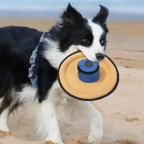 Flying Disc For Dogs Soft Canvas Interactive Toys Dog Games
