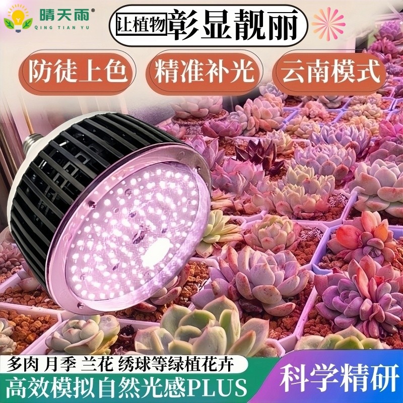 多肉补光灯 上色全光谱植物仿太阳室内花卉生长LED光合作用月季灯