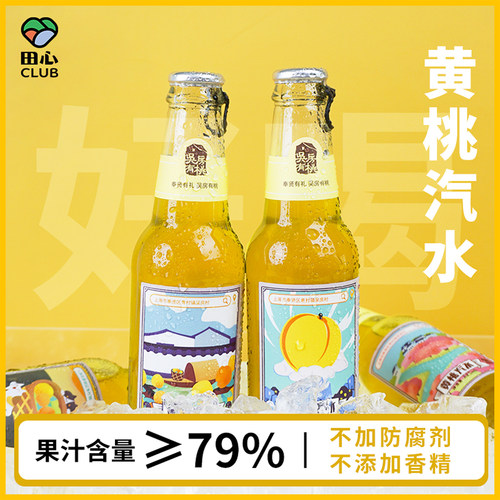 荔枝汽水梅子柚子黄皮汽水果味