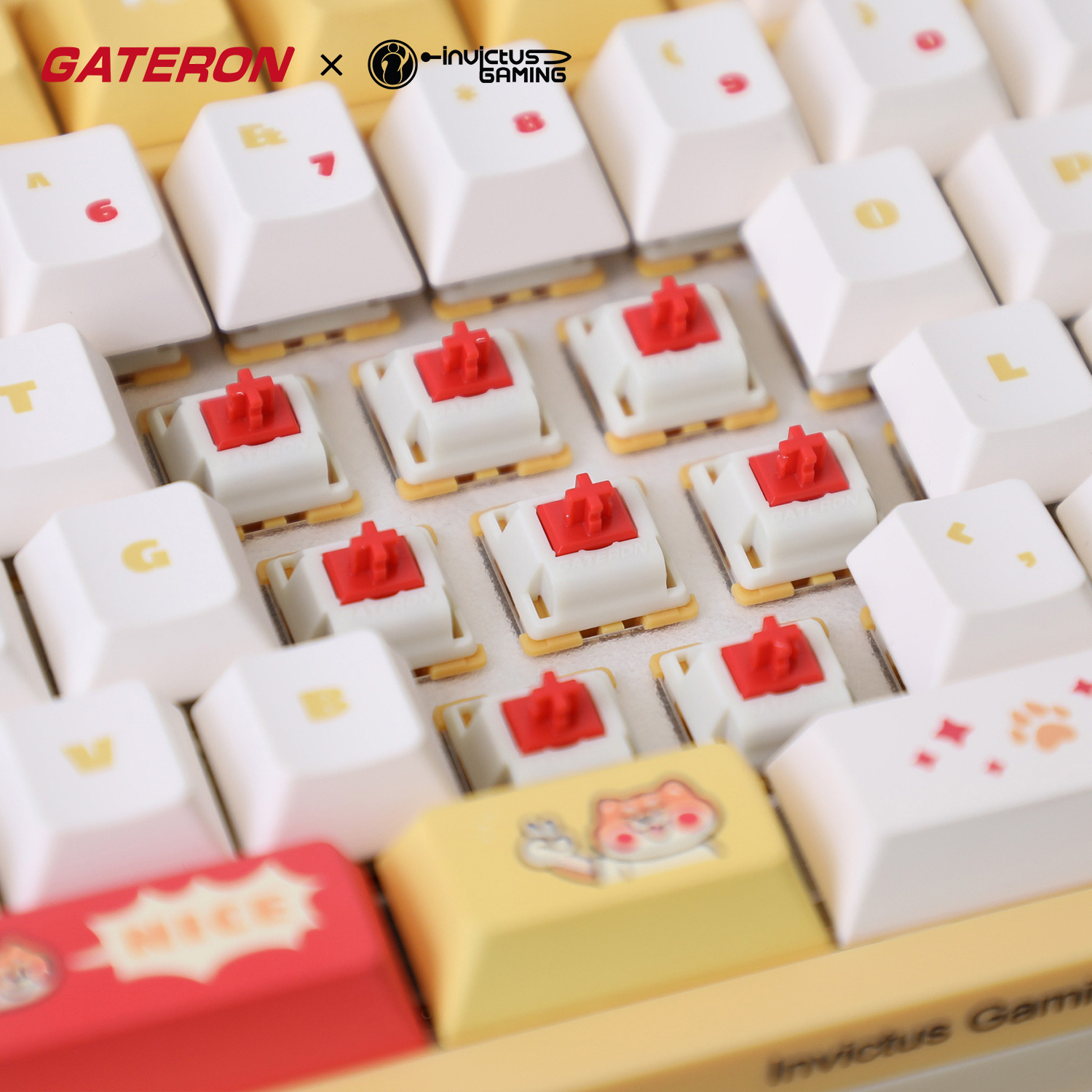 ig佳达隆机械键盘电竞游戏办公