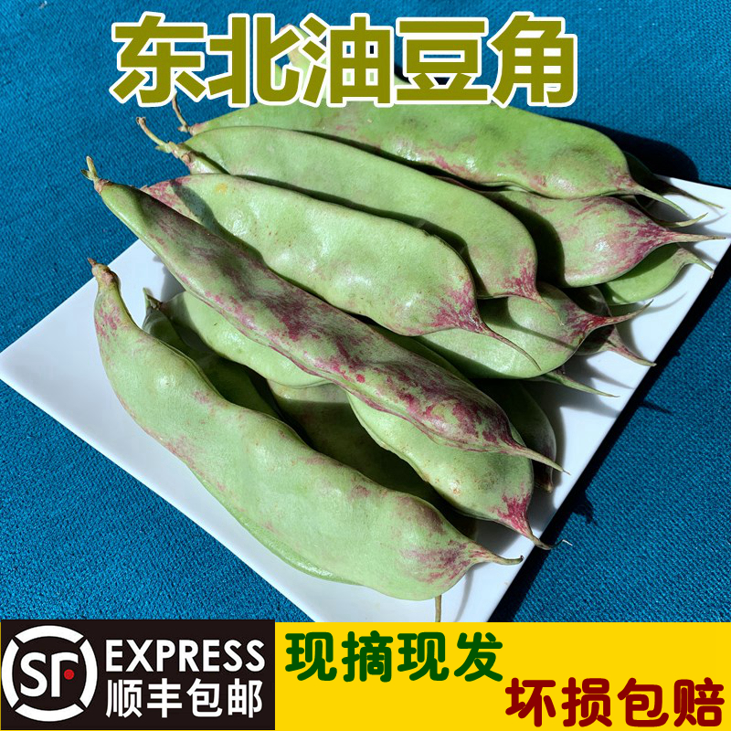 东北一点红油豆角现摘现发