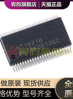 全新原装 HT1621B 贴片SSOP48 RAM映射32*4 LCD控制器芯片IC I/O