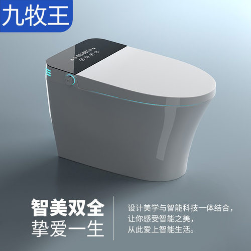 其他家中国大陆虹吸式即热式无水