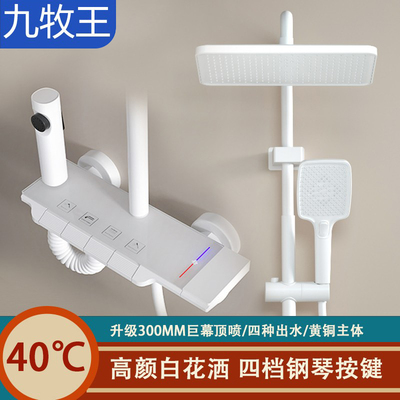 适用九牧王枪灰色雅白色全铜花洒