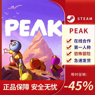 Steam正版PC PEAK 动作类 Rogue 在线单机 第一人称 恐怖冒险
