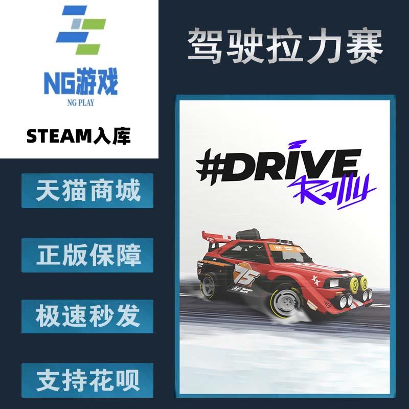 PC正版steam中文游戏驾