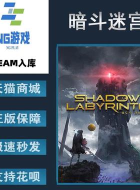 PC正版 Steam 中文游戏  暗斗迷宫 Shadow Labyrinth 动作冒险