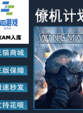 PC正版中文 僚机计划 Project Wingman 国区激活码 动作 射击 科