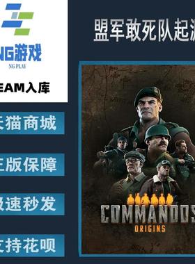 PC正版 Steam 中文游戏 盟军敢死队起源 国区激活码 Commandos: O